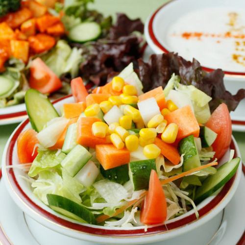 Green salad/radish and tuna salad