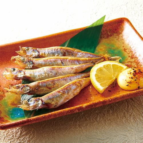 孩子們的狗屎