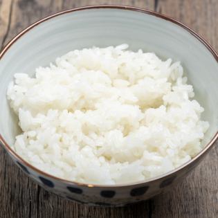 ごはん