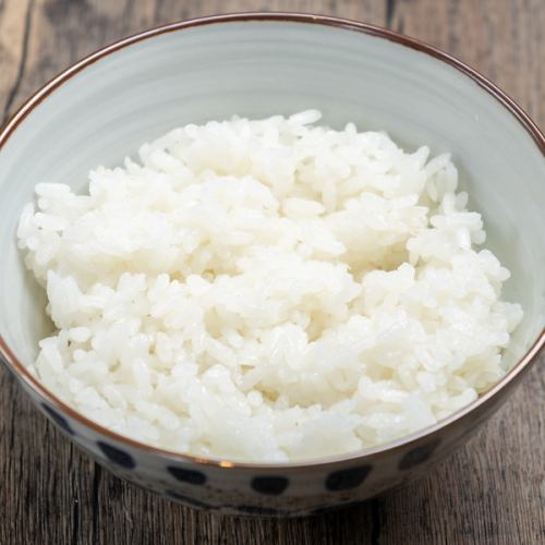 ごはん