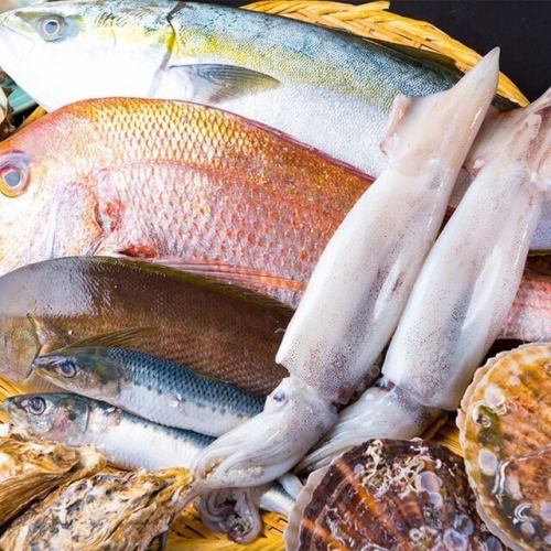 季節の朝獲れ鮮魚を刺身で堪能！