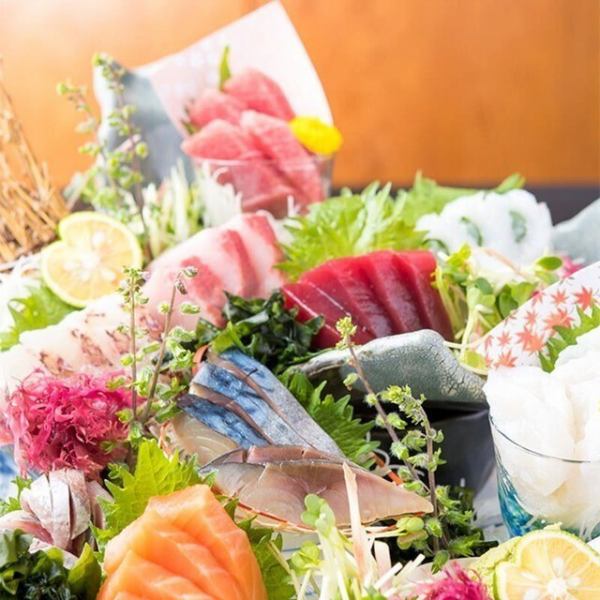 【海鮮】人気のお刺身から種類豊富な一品料理を堪能