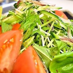 健康蔬菜沙拉~配無油調味料~
