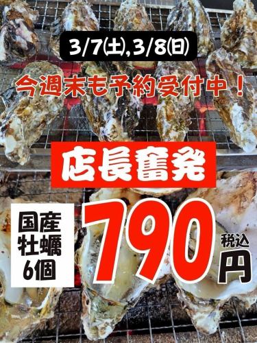 土日は11:00〜営業!
皆さんに楽しんでもらうため、
店長が奮発してお買い求めやすい価格に!
国産牡蠣一皿6個790円🔥
ぷりぷりの焼き牡蠣はもちろん、
海鮮焼きや串物、おつまみなども店頭で販売😊🐟🦐🦪
フリー利用も大歓迎◎ 追加注文もOKです!
⭐️今年はコースもあります⭐️
🍽選べるコースは2種類(すべて2時間飲み放題付き)
① 【牡蠣・海鮮】贅沢食べ放コース(6,900円)
└ 焼き牡蠣・海鮮が90分食べ放題+牡蠣フライ&海鮮焼き!
② 海鮮焼き・晩酌セット(3,500円)
└ 海鮮×おつまみ×飲み放題でコスパ◎
📅営業時間
▶ 土日祝日:11:00〜22:00(L.O 21:30)
3月からは土日のみ営業!3/15まで!
📍水戸市南町3-6
水戸駅よりバスで3分🚌
水戸市民会館から徒歩ですぐ!
#水戸グルメ #茨城グルメ #牡蠣小屋 #浜焼き #海鮮焼き