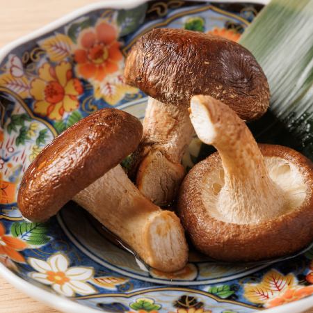Donko Shiitake Mushroom