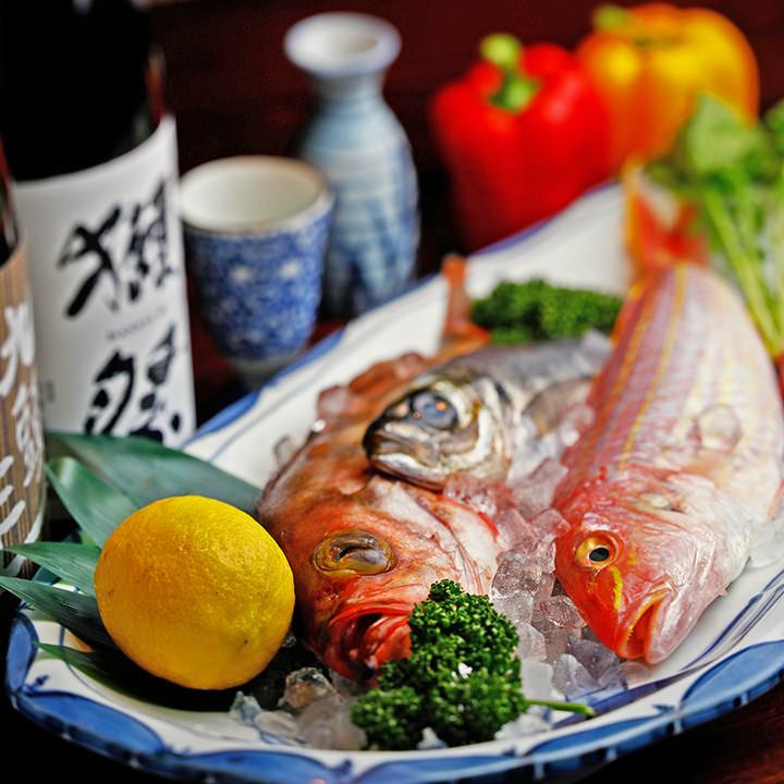 鳥取県米子など、産地から直接届く新鮮な魚介を堪能！