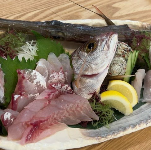 【名瀬漁協直送】旬の鮮魚を楽しむ刺身と煮付け