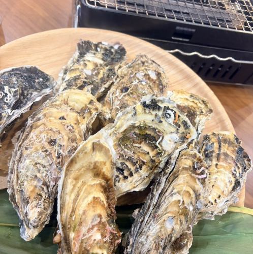 【豪快浜焼き】全国から仕入れる牡蠣や貝