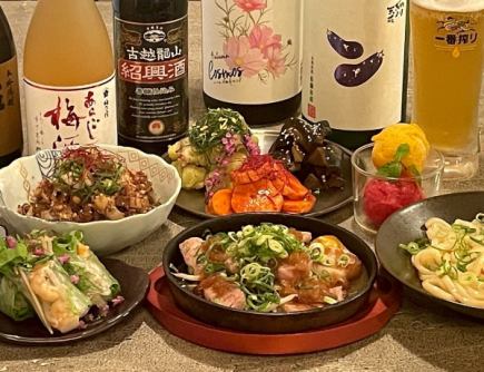 【Aketotemoro 标准套餐】3 种开胃菜、鲜虾春卷、国产猪肉铁板烧等 / 共 8 道菜,3000 日元(含税)