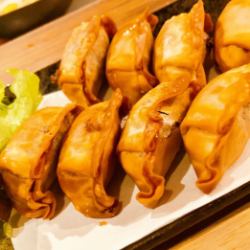 Fried horse meat gyoza