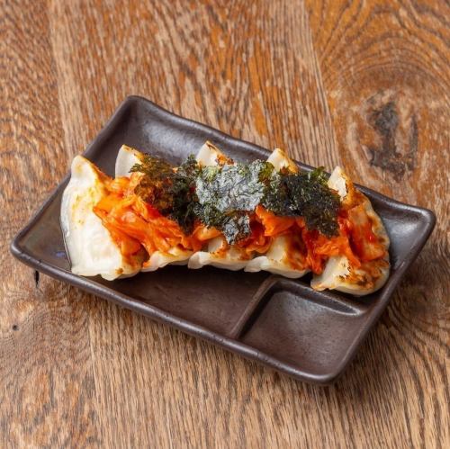 Spicy Kimchi Gyoza