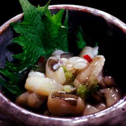 Bamboo shoots