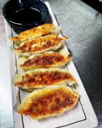 Handmade gyoza