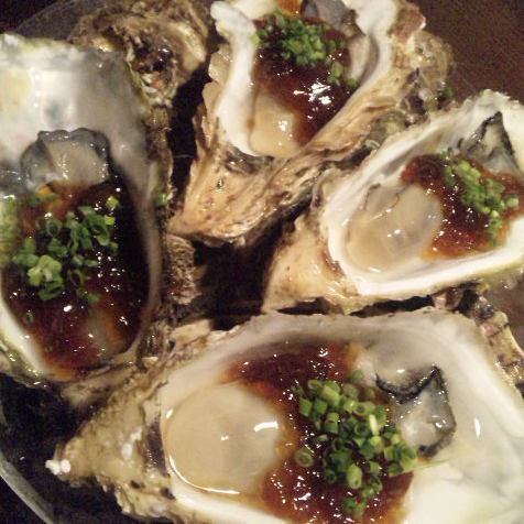 Extra large! natural rock oysters