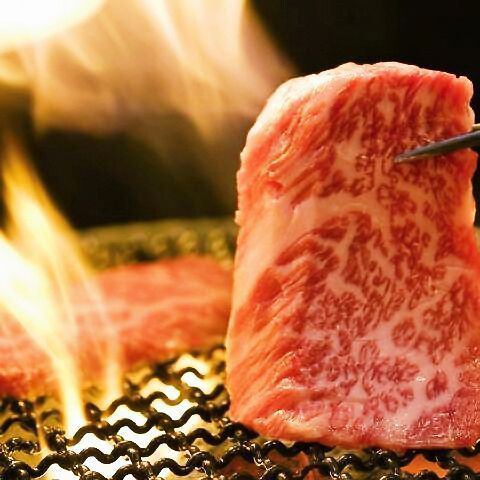 毎週火曜は焼肉半額の日