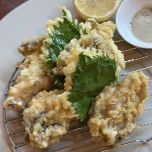 Oyster and Maitake mushroom fritters