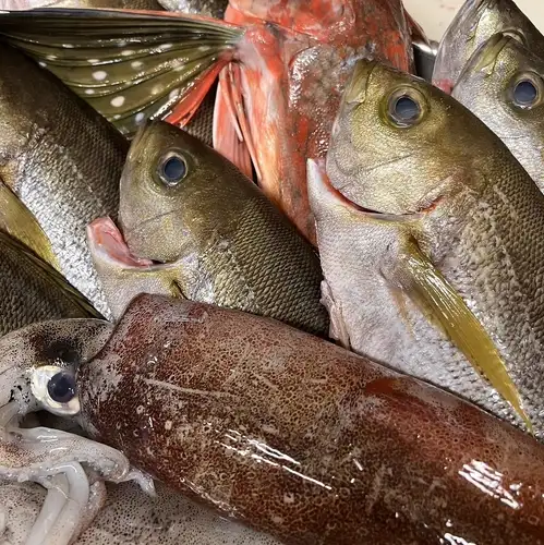 内容は日々変わります！「鮮魚特急便」メニューをご覧ください！鮮魚おすすめ商品 418円～