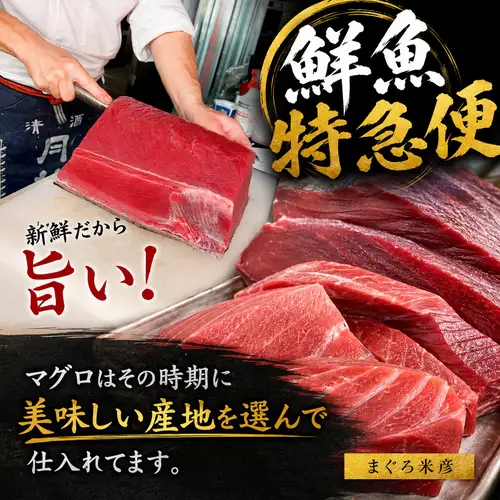 その時期に美味しいマグロを仕入れています