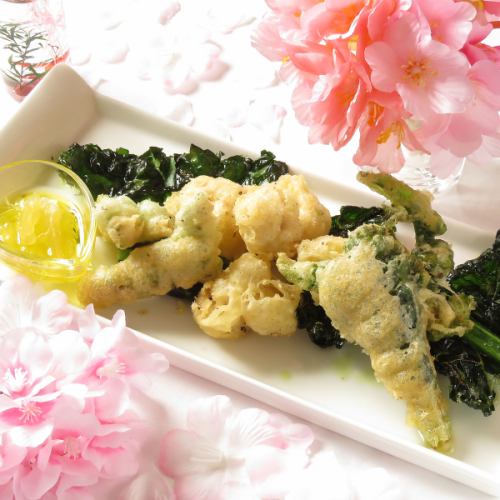 시라코의 프릿 미스트