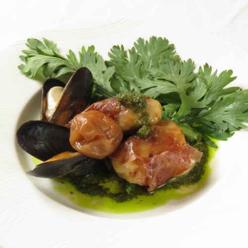 기슈의 매화와 흰 물고기의 살틴 보카 봄 국화의 제노 베제