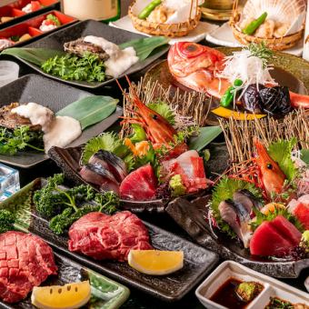 【特别套餐】蓝鳍金枪鱼和海胆握寿司！还可品尝当季黄金鲷鱼的成人套餐 7,000日元