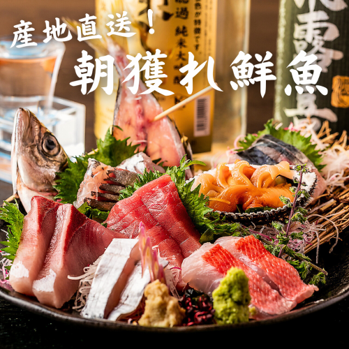【桜木町×海鮮】本日のおまかせ刺身盛り合わせ！その他にぎり寿し等の本格的なお魚料理も大好評◎