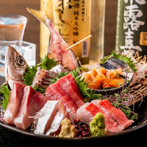 【櫻木町 x 魚】今天的御卷瀨生魚片拼盤！握壽司等正宗的魚料理也很受歡迎◎