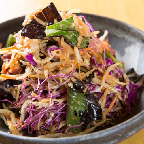 Roast beef and fried burdock salad