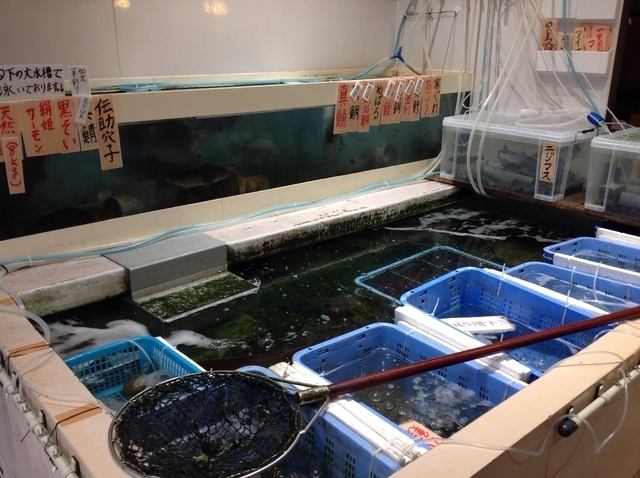 I am paying attention to Ike! We purchase seasonal fish and seafood every day, which can only be tasted by half sushi.For more information ♪ to the staff