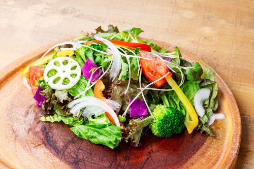 【Salad】10種の野菜の新鮮野菜サラダ