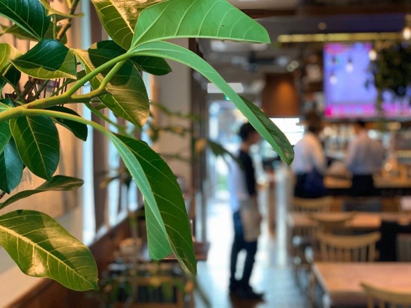 夜も落ち着いた雰囲気でゆっくりくつろげます。◎（21時頃まで営業）プレートメニューとご予約限定のお得なディナーセットもご用意！！お友達同士、ファミリー、カップル、お1人様にもゆっくりご利用いただけます。
