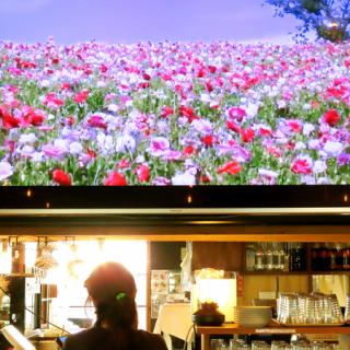 80인치 특대 모니터 있음