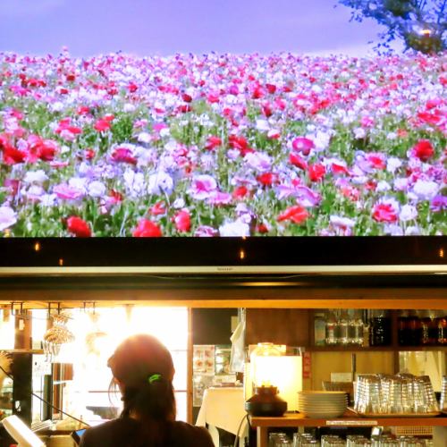 80인치 특대 모니터 있음