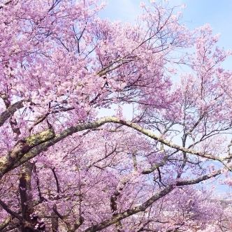 季節感を大切に、美味しいものを少しでもお安くお届け♪