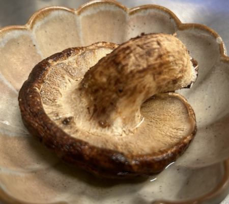 Thick shiitake mushroom grill