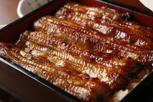 Eel on rice
