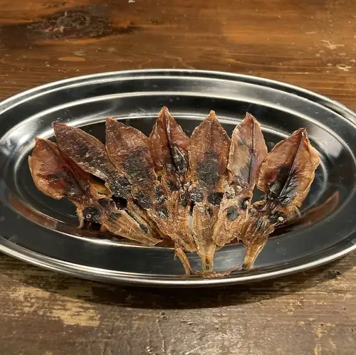 炙りイカ