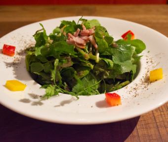 Watercress and wild arugula salad