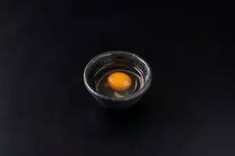京都産卵