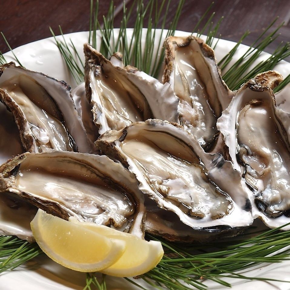 Raw oysters delivered directly from Akkeshi, available all year round, are also a must-see!