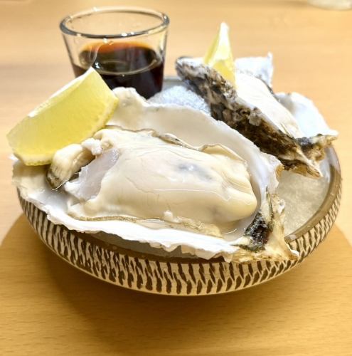 なんとお得な!【温多家コ―ス】南まぐろの刺身&北海道産生かき等全10品+120分[飲放]⇒5000円