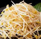 豆芽/捲心菜/蘿蔔/大蔥/白菜/小松菜/花環菊花