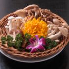 金針菇 / 舞茸 / Shimeji 蘑菇 / Eringi / Yamacha 蘑菇 / Tamogimi 蘑菇 / 舞茸 / 白舞茸 / Yamabushi 蘑菇