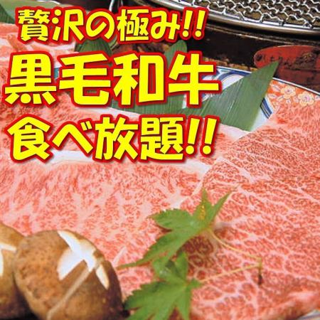■超棒！嚴選的七輪套餐■黑毛和牛x一番絞肉自助餐！附2小時無限暢飲8,800日元（含稅）