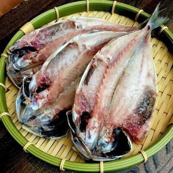自家製あじ