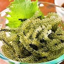 Sea grapes (with vinegar, wasabi, and green shiso)