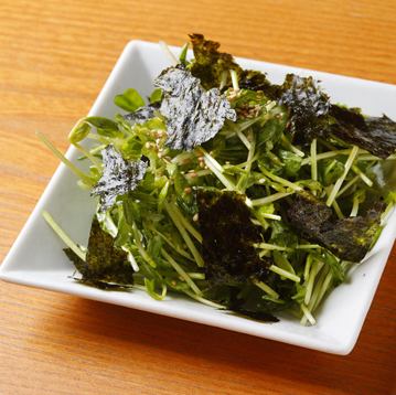 韓国海苔と豆苗のナムル