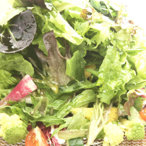 Miura Peninsula Vegetable Salad Italian Sea Salt and Parmigiano Cheese