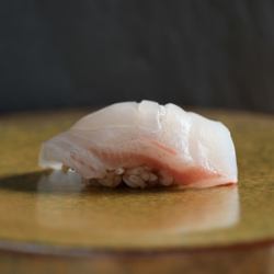 红鲷鱼