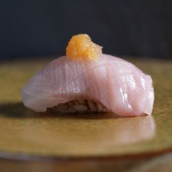 黄尾鱼